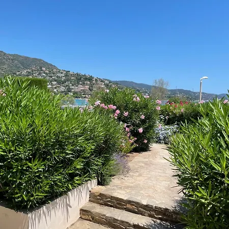 Les Pieds Dans L'eau Lägenhet