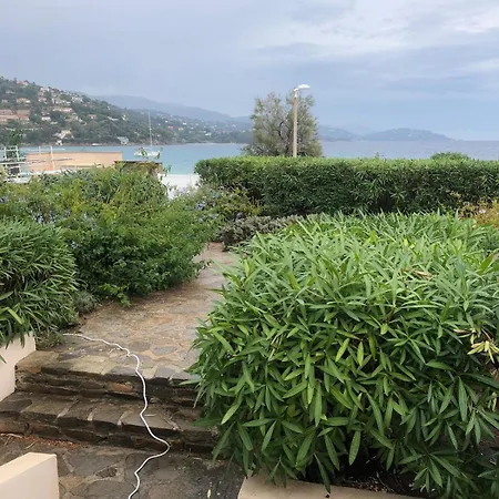 Les Pieds Dans L'eau Appartement Le Lavandou